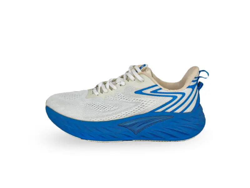 Shoetec shoe 24 - China vs India Shoe Manufacturing